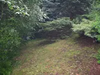 garten_02.webp