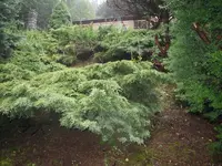garten_03.webp