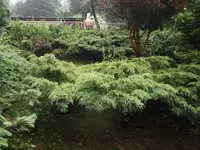 garten_04.webp