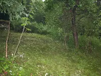 garten_08.webp