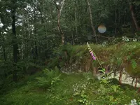 garten_09.webp