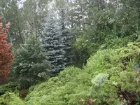 garten_10.webp