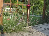 garten 09 012.webp