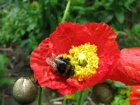 IMG_1561 25%.webp