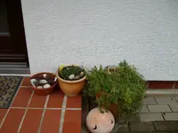 Neben der Tür.webp