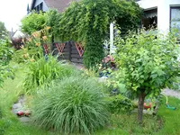 Vorn2.webp