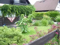 Vorn3.webp