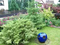 Wiese mit Kugel.webp