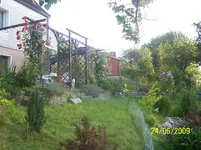 100_1898.webp