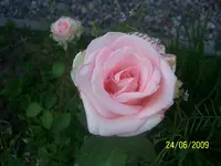 100_1900.webp