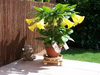 Bild 001.webp