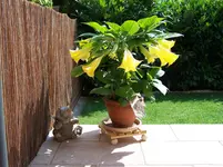 Bild 002.webp