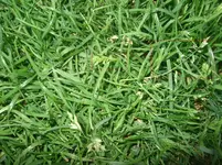 DSCF1022.webp