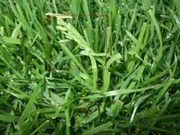 DSCF1023.webp