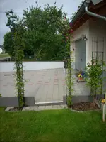 Rosenbogen.webp