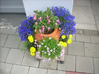 Topf vor Garage.webp