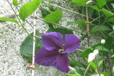 IMG_1936.webp