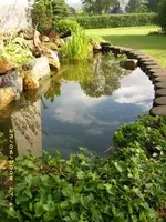 Teich  iin der Länge.webp