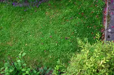 Banvel_D_25062009.webp