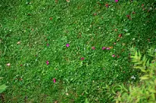 Banvel_E_25062009.webp