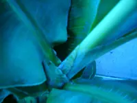 DSC00383.webp