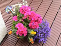 DSC03962.webp