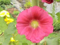 DSC03954.webp