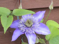 DSC03957.webp