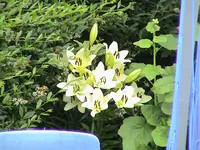 DSC03961.webp