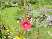 DSC03953.webp