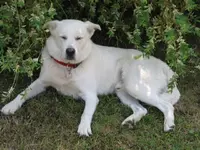 Lenny2.webp
