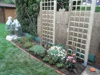 RIMG0188.webp