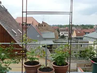 bohnenstange2.webp