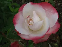 IMG_0381_1024x768.webp