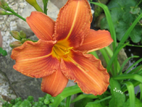 IMG_1944.webp