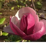 13.04.09 033_A.webp