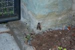 DSC_0018.JPG