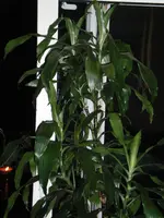 000_0005.webp