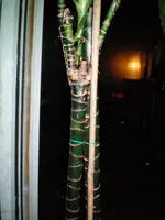 000_0010.webp