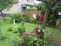 fotos 5 008.webp