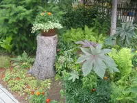 fotos 5 021.webp