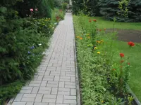 fotos 5 013.webp