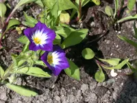 DSCN7023.webp
