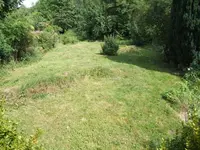 tn_DSCF2197.webp