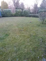 20150316_180112.webp 20150316_180112.webp