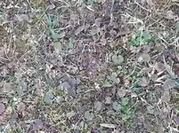 20150316_180143.webp 20150316_180143.webp