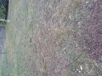 20150316_180207.webp 20150316_180207.webp