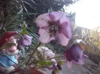 CAM00034.webp