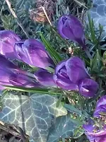 CAM00026.webp