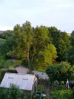 Aussicht1.webp